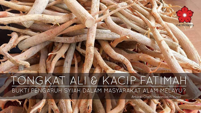 TONGKAT ALI & KACIP FATIMAH BUKTI PENGARUH SYIAH DALAM MASYARAKAT ALAM MELAYU? 