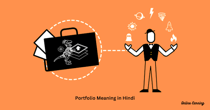 Portfolio Meaning in Hindi