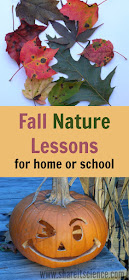 Fall Nature Lessons Activities