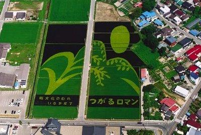 Japanese Rice Field Creative Art Work - AmAzing Photos Seen On  www.coolpicturegallery.us