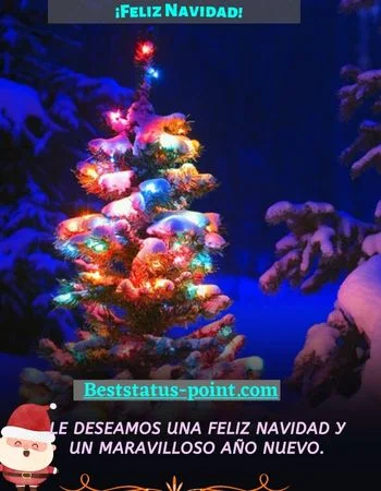 bonitas fotos de navidad 2023