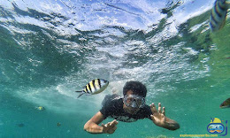 snorkeling di bawah permukaan taman nasional laut kepulauan seribu