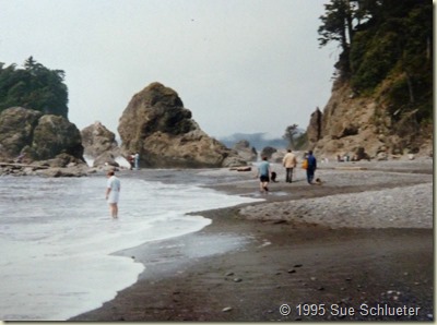 2 beach exploring oly nat park