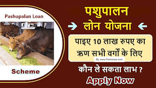 Pashupalan Loan Yojana 2022 | पशु किसान क्रेडिट कार्ड योजना 2022