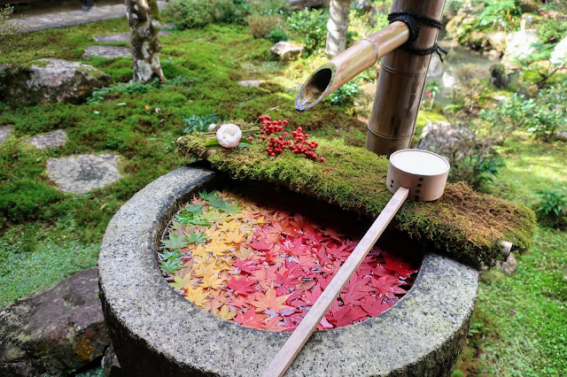 京都 柳谷観音 楊谷寺 花手水 なないろ手水 紅葉