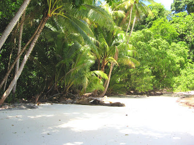 Beach close to Margie's, Palau