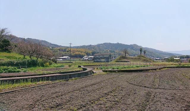 西野々古墳群(富田林市)