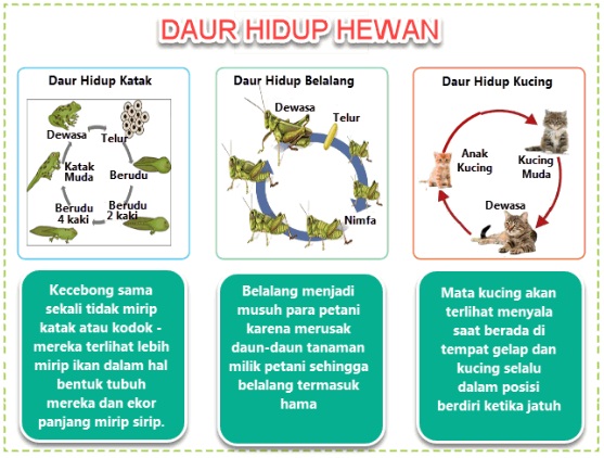  Materi dan Kunci Jawaban Tematik Kelas  Materi dan Kunci Jawaban Tematik Kelas 5 Tema 5 Subtema 1 Halaman 40, 41, 42, 46