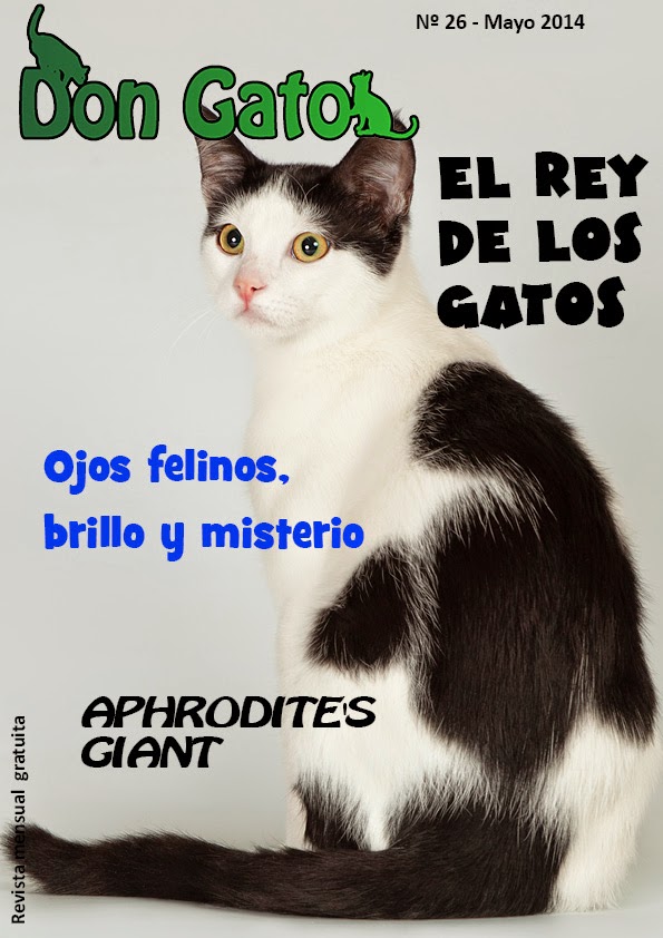 Portada revista Don Gato