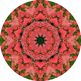 Kaleidoscope Photo Art sumac by Jeanne Selep