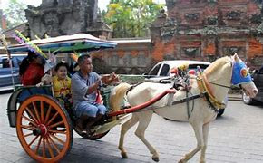 10 Famous Traditional Transportation in Indonesia