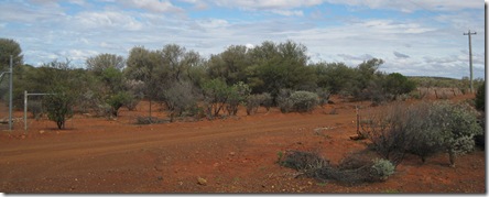 IMG_1419 Mt Magnet