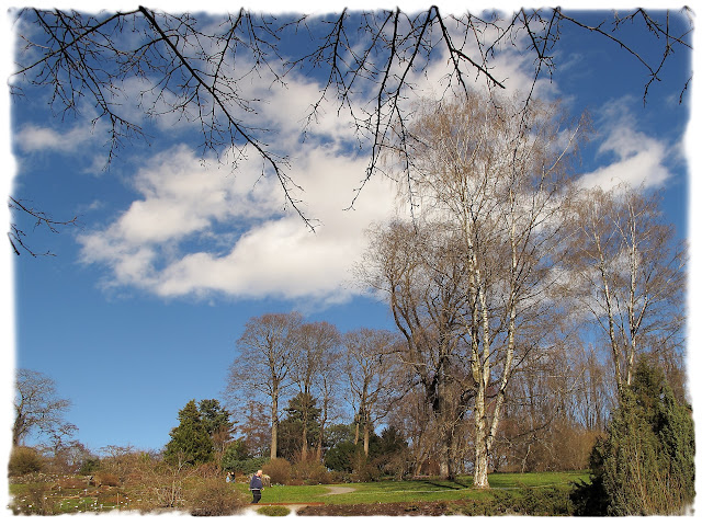 Vårstemning i Botanisk hage på Tøyen i Bydel Gamle Oslo.