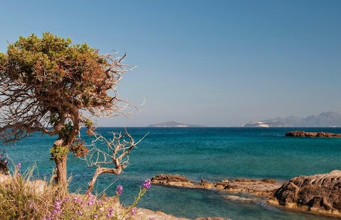 Kos, un'isola paradisiaca