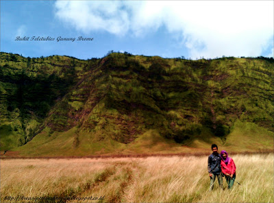 Bukti Keindahan Yang Bisa Didapatkan Di Wisata Gunung Bromo