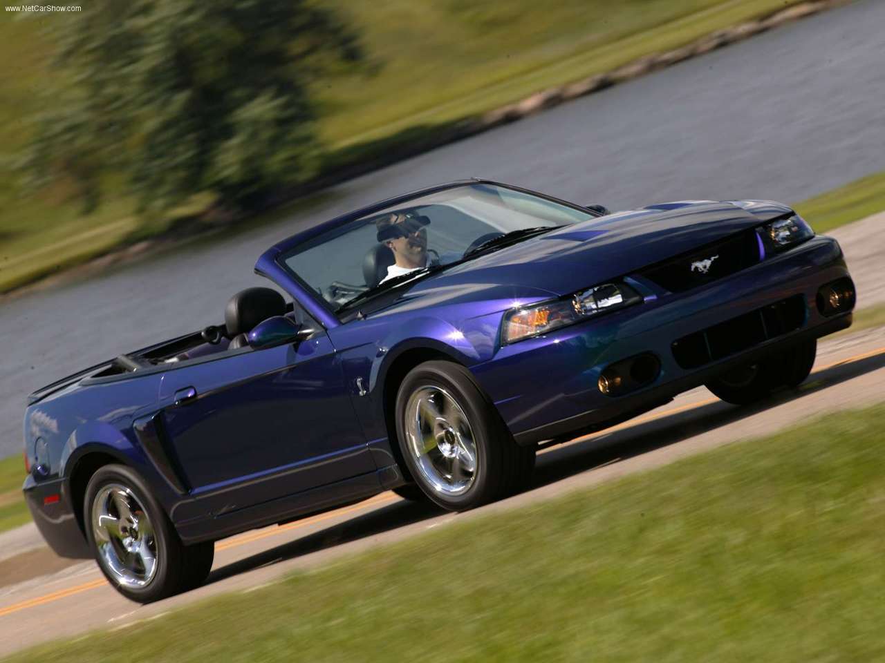 Ford   Populaire fran  ais dautomobiles  2004 Ford Mustang SVT