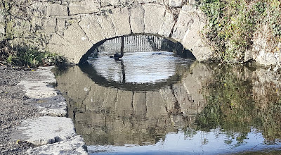 19th century bridge over stream at Corkagh Clondalkin Dublin ©nolene dowdall