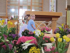 IMG_0651