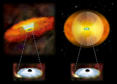   Os buracos negros têm uma má reputação na cultura popular pois engolem tudo o que conseguem apanhar. Na realidade, as estrelas, gases e poeiras podem orbitar os buracos negros durante longos períodos de tempo, até que uma grande perturbação empurra esse material.  A fusão entre duas galáxias é uma dessas perturbações. À medida que as galáxias se combinam e os seus buracos negros centrais se aproximam, o gás e a poeira nas proximidades são empurrados para os seus respetivos buracos negros. É libertada uma quantidade enorme de radiação altamente energética à medida que o material espirala rapidamente em direção ao buraco negro faminto, que se torna no que os astrônomos chamam de núcleo galáctico ativo (NGA). Usando o telescópio NuSTAR da NASA, um estudo mostra que nos estágios finais de fusões galácticas, cai tanto gás e poeira, em direção ao buraco negro, que o NGA extremamente brilhante fica envolto. O efeito combinado da gravidade das duas galáxias diminui as velocidades de rotação do gás e da poeira que, de outra forma, estariam orbitando livremente. Esta perda de energia faz com que o material caia sobre o buraco negro.  "Quanto mais desenvolvida estiver a fusão, mais encoberto estará o NGA," comenta Claudio Ricci, autor principal do estudo publicado na revista Monthly Notices Royal Astronomical Society. "As galáxias que estão numa fase adiantada deste processo de fusão têm os seus buracos negros completamente cobertos por um casulo de gás e poeira." Ricci e colegas observaram a emissão penetrante de raios-X altamente energéticos de 52 galáxias. Cerca de metade delas estavam nos estágios finais da fusão. Dado que o NuSTAR é muito sensível à deteção dos raios-X mais energéticos, foi fundamental para estabelecer a quantidade de luz que escapa da esfera de gás e poeira que cobre um NGA.  Os cientistas compararam observações de galáxias pelo NuSTAR com dados do Swift e Chandra, também da NASA, e do XMM-Newton da ESA, que observam componentes menos energéticos do espectro de raios-X. Eles detectaram raios-X altamente energéticos de uma galáxia, mas não raios-X de baixa energia, isso é sinal de um NGA altamente obscurecido. O estudo ajuda a confirmar a ideia de longa data de que o buraco negro de um NGA faz a maior parte da sua alimentação enquanto está envolto durante os últimos estágios de uma fusão. Um buraco negro supermassivo cresce rapidamente durante estas fusões," comenta Ricci. "Os resultados avançam a nossa compreensão das misteriosas origens da relação entre um buraco negro e a sua galáxia hospedeira."