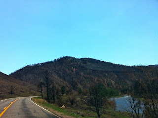 Highway 14, Cache La Poudre river www.thebrighterwriter.blogspot.com