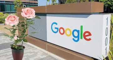 Google At 20: The Company's Journey From Start-Up To Internet Giant