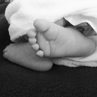 newborn baby feet