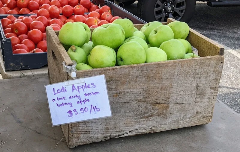 A wooden bin piled high with green apples. A hand lettered sign in purple ink says "A tart, early season baking apple."