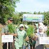 Danrem 141/Tp, Bersama Kementan Tanam Perdana di Perluasan Cetak Sawah