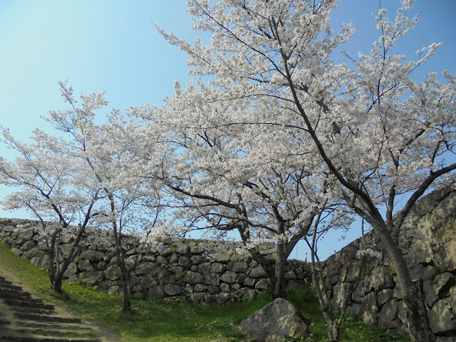 米子城跡の天守跡