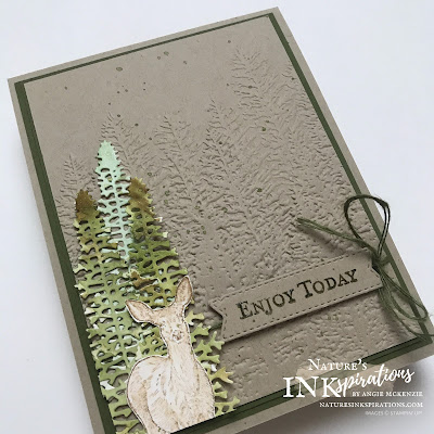 By Angie McKenzie for As You See It #245 Challenge entry; Click READ or VISIT to go to my blog for details! Featuring the Nature's Beauty Stamp Set, the Majestic Mountain Dies and the Evergreen Forest 3D Embossing Folder; #AYSI245 #stampinup #handmadecards #naturesinkspirations #masculinecards #cardchallenges #goodmorningmagnoliastampset  #makingotherssmileonecreationatatime #naturesbeautystampset #evergreenforest3dembossingfolder #tastefullabelsdies #coloringwithwaterpainters #cardtechniques #fussycutting