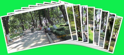 View album