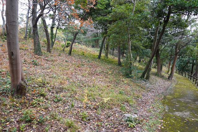 鳥取県西伯郡大山町富岡 むきばんだ史跡公園 弥生の森