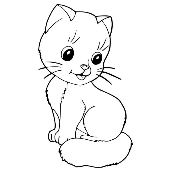 Terkini Gambar Kucing Kartun Putih