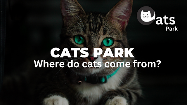 Where do Cat come from?