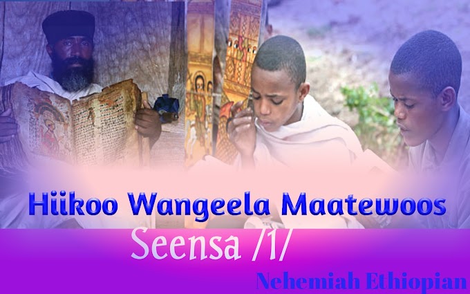 Hiikoo Wangeela Maatewoos | Seensa /1/ : Wangeela jechuun maal jechuudha? Wangeelonni Arfan maaliin fakkeeffamu?