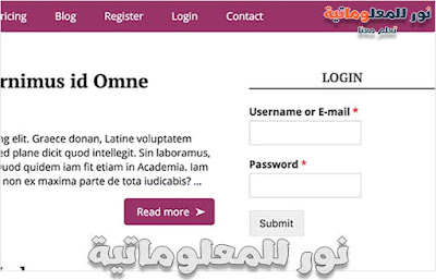 نور للمعلوماتية,تعلم معنا ووردبريس,ووردبريس,wordpress,تصميم ووردبريس,قوالب ووردبريس,مدونة ووردبريس