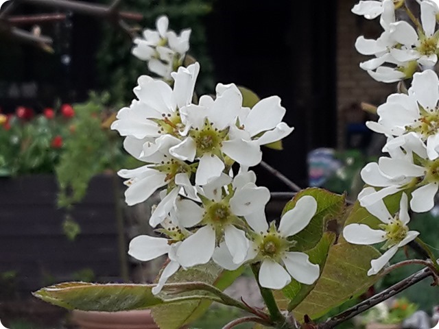 20170506_172010