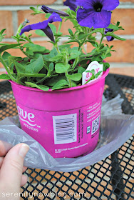 Keep a Potted Plant Gift from Leaking, at Serenity Now blog