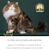 What kind of Norwegian Forest Cat wins cat shows?