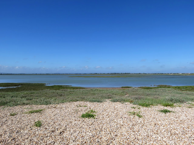 Pagham Harbour, West Sussex