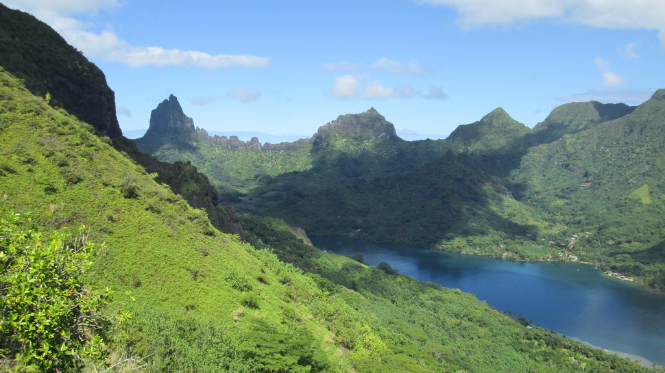 Panorama sur la Baie de Opunohu à Moorea en Polynésie