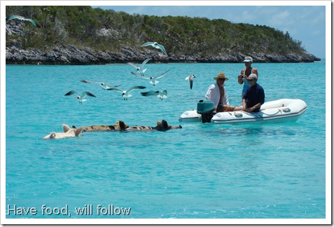 Staniel Cay, Bahamas 056