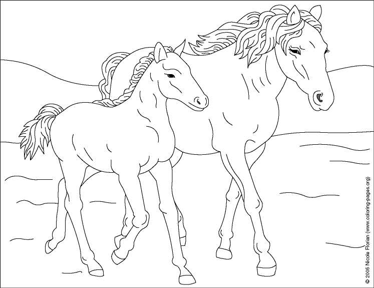 Horses To Color 8