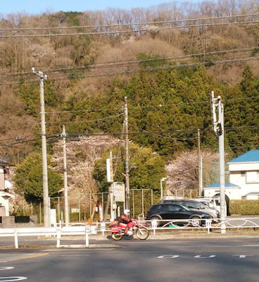 二輪の山岳消防隊