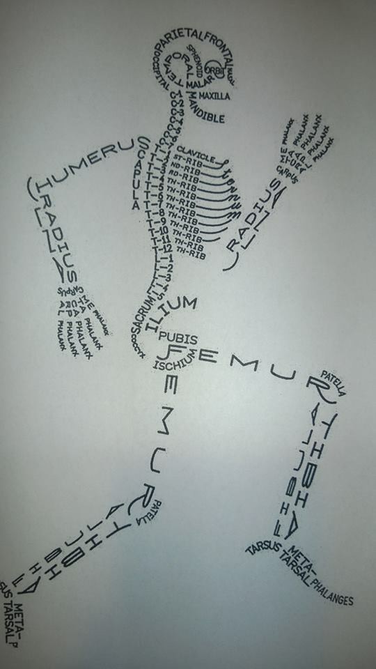 Biology A+: Once Upon a time