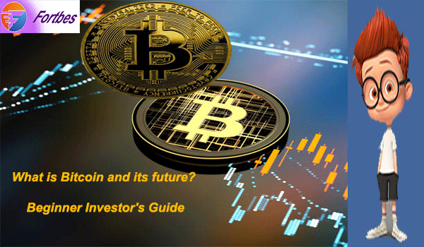 What is Bitcoin and its future? Beginner Investor's Guide