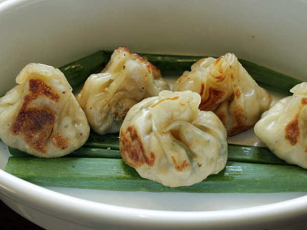 Cilantro Chicken Potstickers with Twin Dragon Gyoza Wrappers