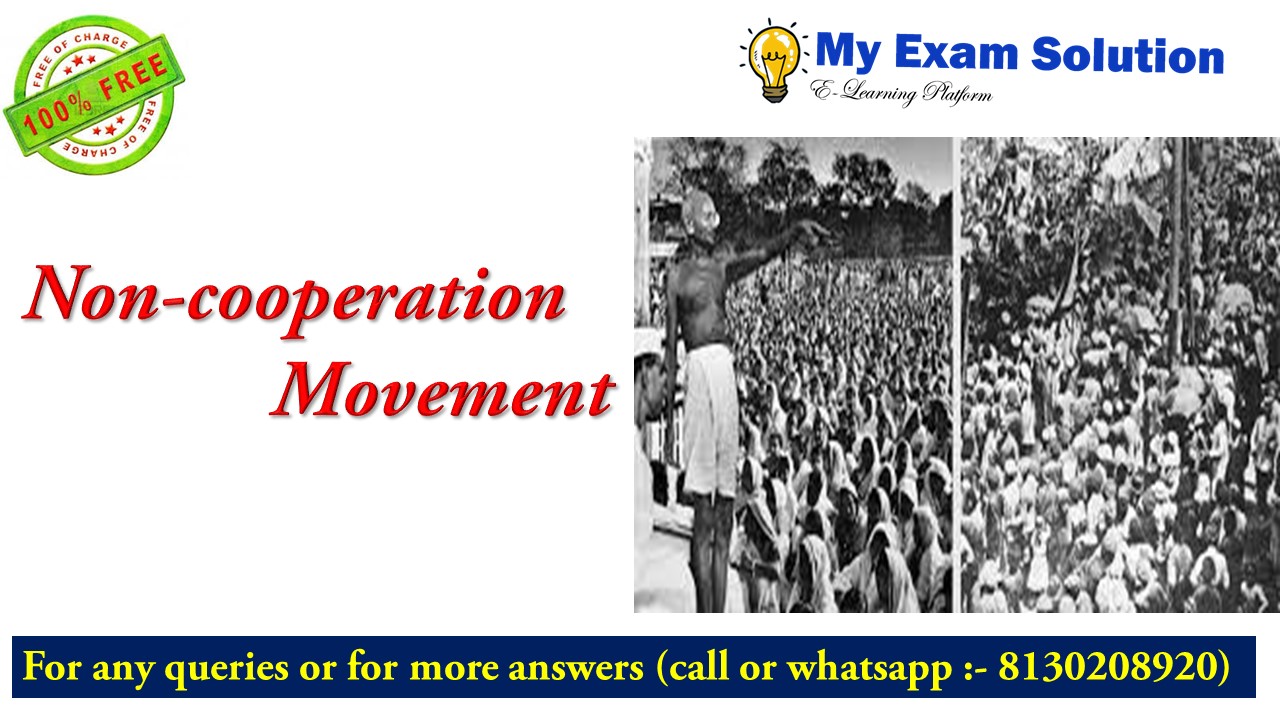 Non-cooperation movement - My Exam Solution