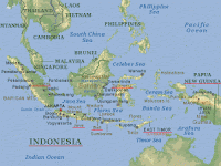 10 Kekayaan Alam Indonesia Yang Mendunia