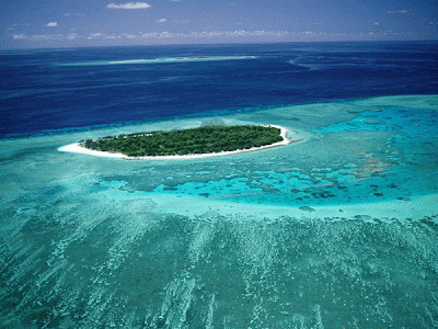 Lady Musgrave Island Australia Great Barrier Reef